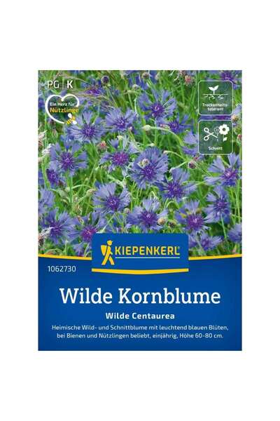 Kiepenkerl Seminte de albastrele salbatice – varietate Blaue Zyane, ajunge pe...