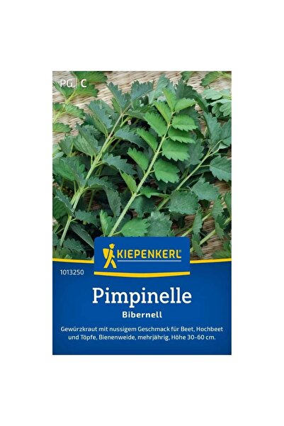 Kiepenkerl Seminte de pimpinella – planta aromatica si medicinala, ajunge pen...