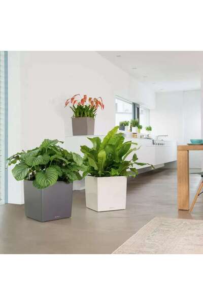 Lechuza CUBE Premium Self-Watering Planter 30, 12 L, Metallic Black