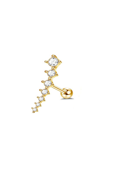 Choice S5-1pcs-golden 1Pc 16G Stainless Steel Screw Back Stud Earring for Wom...