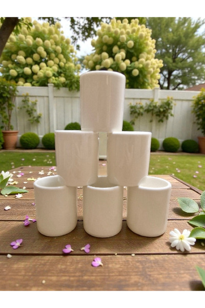 Renklerin Atölyesi Kulpsuz fincan 6lı