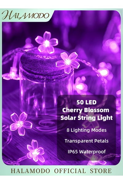 HALAMODO 50 LED Cherry Blossom Solar String Light For Christmas Purple 5x40centimeter 5x40cm