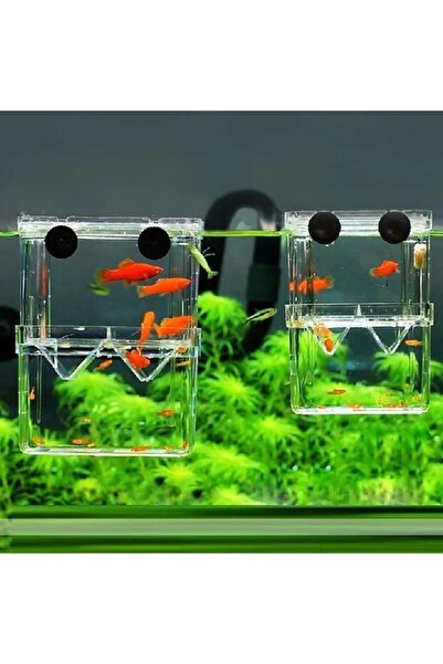 Choice حوض أسماك شفاف بمقاس 7.9×11×7 سم، صندوق عزل عالي الوضوح لتكاثر الأسماك، مستلزمات الحيوانات الأليفة، حوض تربية الأسماك D