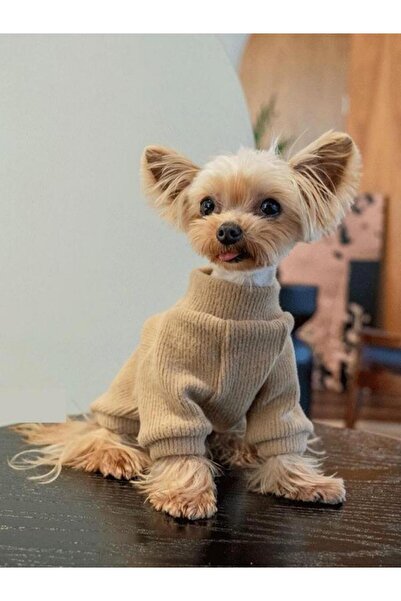 Choice سترة صوفية بسيطة بلون سادة مناسبة للخريف والشتاء للكلاب من الكاكي مقاس XL (5-6 كجم) مناسبة للصغار والمتوسطين