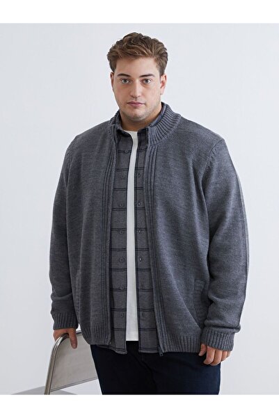 LC Waikiki LCWAIKIKI Classic Standard Fit Stand Collar Men's Knitwear Cardigan