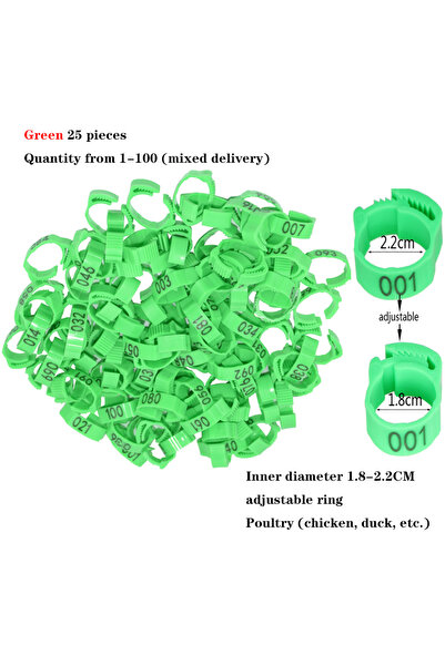 Choice حلقات أرجل الدواجن الخضراء من 25 قطعة، أربطة أقدام الدجاج، مشبك قابل ل...
