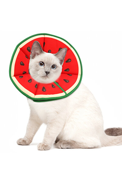 Choice M Red طوق إليزابيثي جديد، غطاء حماية أنيق وعالي الجودة للحيوانات الألي...