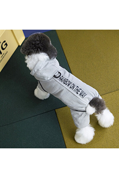 Choice بدلة شتوية دافئة للكلاب، رمادية اللون، مقاس XXL، مقاومة للماء، مناسبة ...