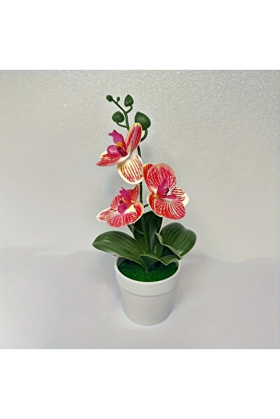 Choice زهرة الأوركيد الاصطناعية المخططة باللون الأحمر، ديكور منزلي/مكتبي - عر...