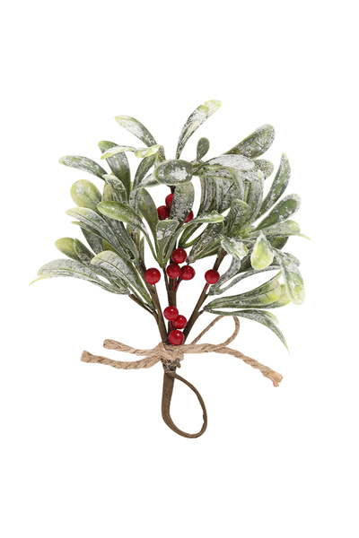 Choice زينة شجرة عيد الميلاد المصنوعة من نبات صناعي أحمر وأخضر مقاس 22 سم و22...