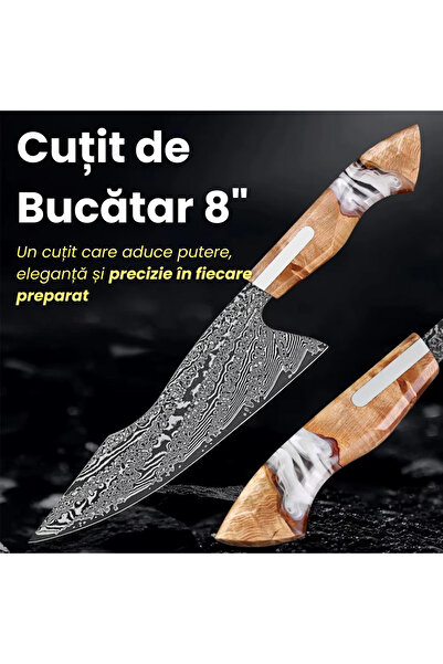 NEOSOR Professional Chef Knife 8 inch Damascus Steel 67 Layers, Ultra Sharp, Wooden Handle