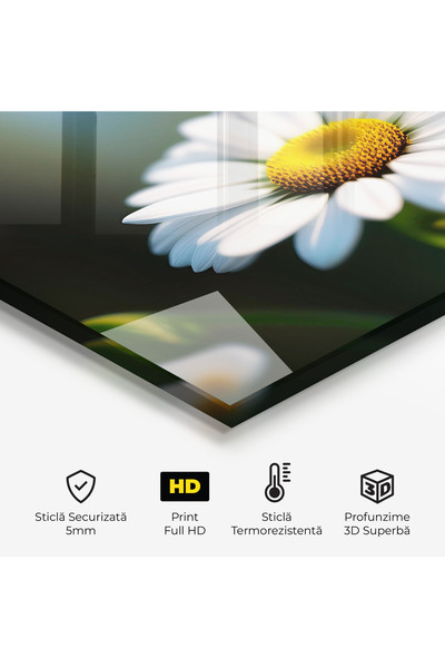 Arthub Kitchen Glass Panel, Stove Protection, Heat Resistant, Flowers, Daisy In The Sun