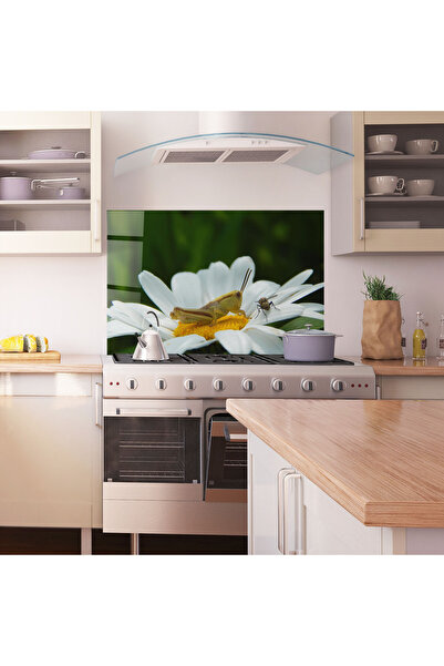 Arthub Kitchen Glass Panel, Stove Protection, Heat Resistant, Flowers, Cricket On Daisy