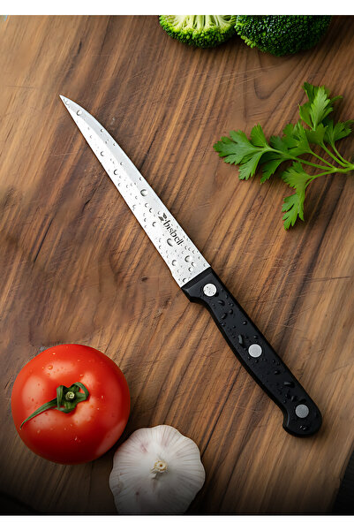Bisbell 4 Pcs Professional Kitchen Knife Set Stainless Steel Blade & Black PP Handle | Essential Prep