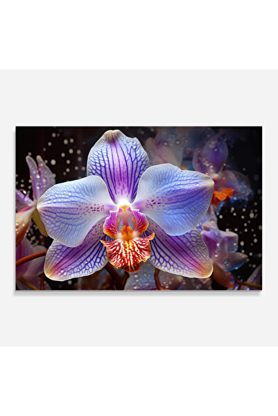 Arthub Kitchen Glass Panel, Stove Protection, Heat Resistant, Flowers, Light Purple Orchid Art