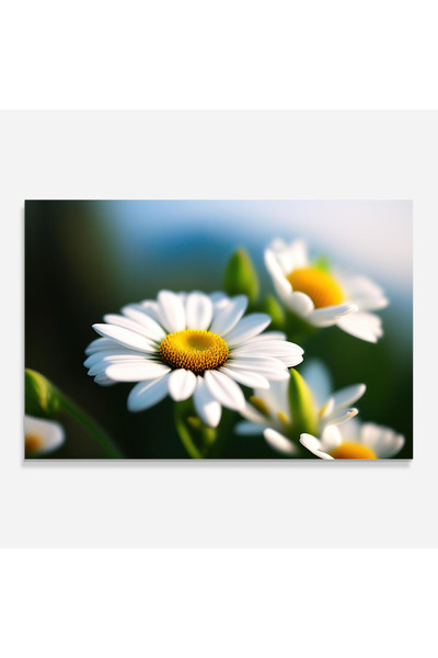 Arthub Kitchen Glass Panel, Stove Protection, Heat Resistant, Flowers, Daisy In The Sun