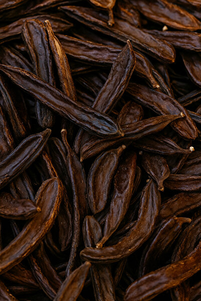 Velit Şemin Şifa Naturel Şifa Naturel – Keçiboynuzu (Harnup) Çubuk 500 gr (Do...