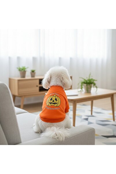 OEM Stylish Halloween blouse, cute, comfortable, for small and medium pets, MDL-25