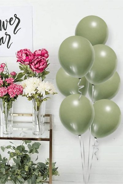 BALOMİS Eucalyptus Tone Professional Organization and Background Balloon