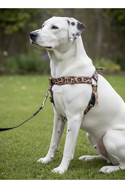 balkonda طوق للكلاب مناسب للسلالات المتوسطة والكبيرة، قابل للتعديل من الأمام ...