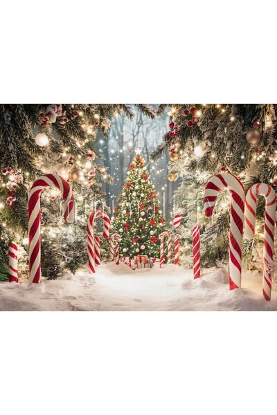 Minimalisfy خلفية استوديو ماجيكال وندرلاند شتوية مقاس 200 × 150 سم