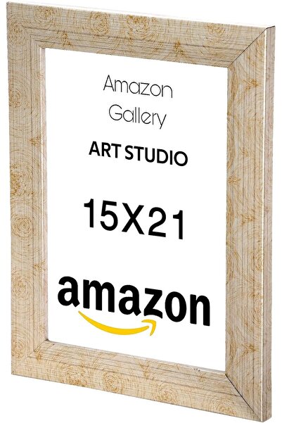 Generic Decorative Photo Frame for Home and Office Display (Champ-Line, 15x21)