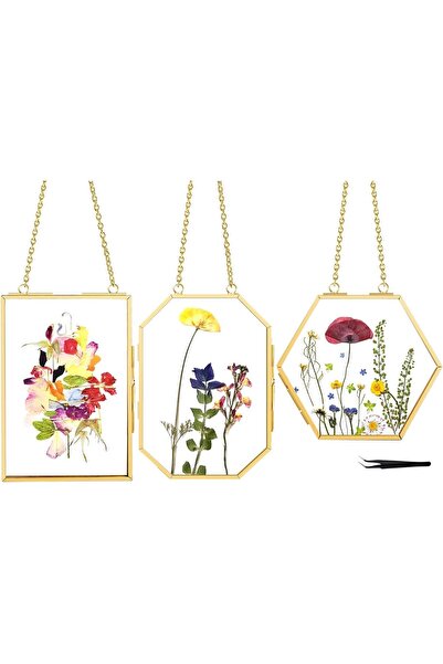 NALACAL 3 Pcs Pressed Flower Frames with Tweezers - Double Glass Wall Hanging...