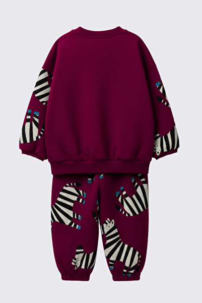 My Kids Wear Boy's Zebra Patterned 3 Thread Non-Sharmond 100% Cotton Tracksuit Set 2-8 Years Old 12322