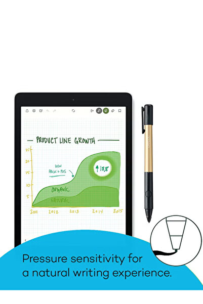 Wacom Bamboo Fineline 2 Fine Point, Thin Tip Stylus for iPad (CS600C1D)