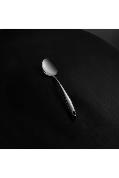 Aryıldız Protools Shiny Serving Spoon