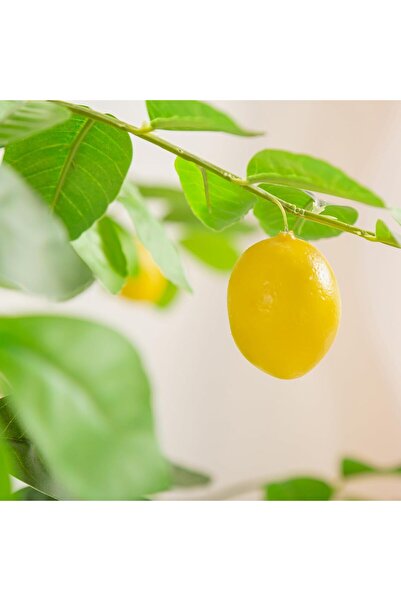 SCHENKERO 160cm (5.25ft) Fake Lemon Tree Realistic Lemons Dense Foliage Indoor Outdoor Garden Use.