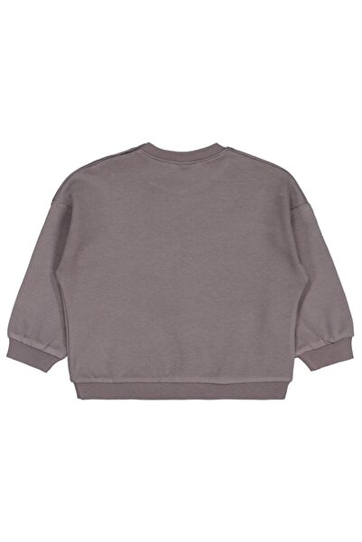 Civil Baby Animals Printed 6-18 Months Sweatshirt - Gray 18-24 Months