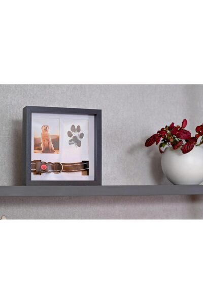 Parlberd Dog & Cat Pet Memorial Picture Frame with Paw Print Kit & Collar Holder