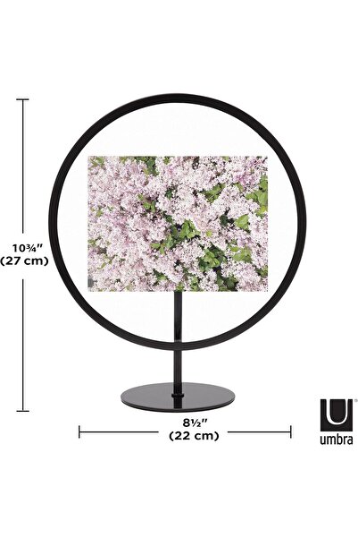 umbra Infinity Picture Frame, Floating Photo Display For Desk Or Wall, 4x6, Black