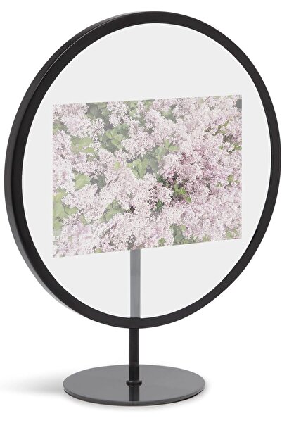 umbra Infinity Picture Frame, Floating Photo Display For Desk Or Wall, 4x6, Black