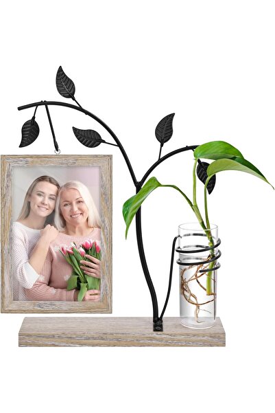 Tazweeq Wooden Photo Frame with Hydroponic Vase (4x6) - Home/Office Decor