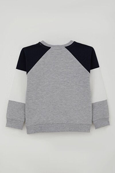 Breeze Boy's Tracksuit Set, Lettering Printed Sleeves, Color Block Ages 3-7, Gray Melange