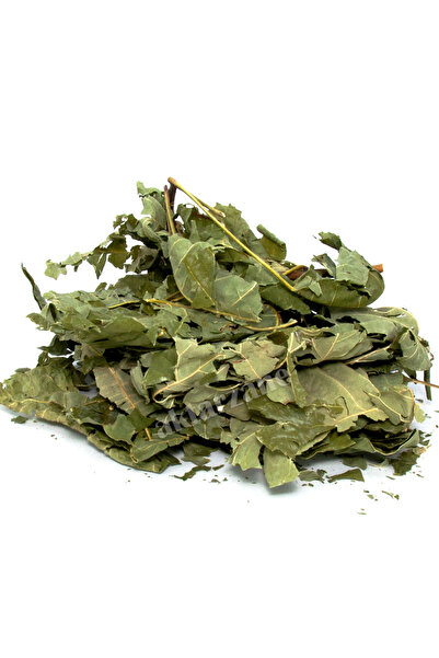 Aktarzane ورق شجرة تيترا دخان شجرة تيترا 50 جرام