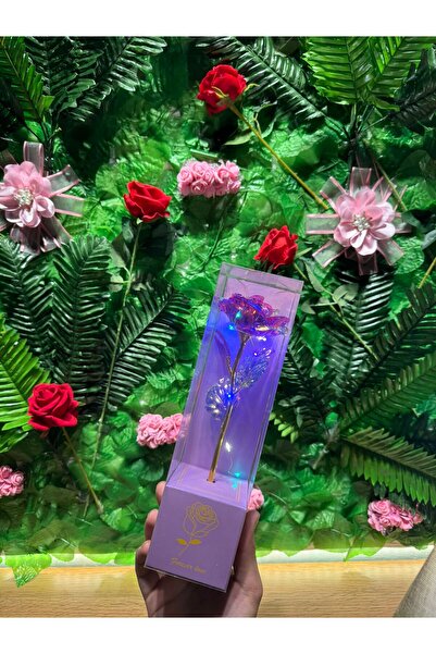 NO BRAND Mor Sonsuzluk Gülü Işıklı Kutulu