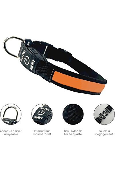 OEM LED Dog Collar Fun Pets, USB Rechargeable, High Visibility, Weather-Resistant, Adjustable, Orange, M