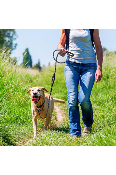 BSRE Pet Walking Leash - 10 mm X 120 cm