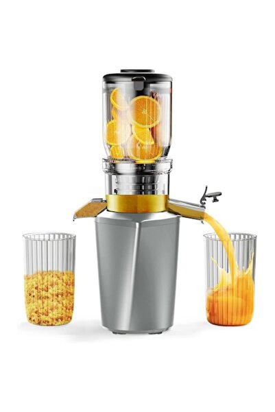 OEM Fyenkfar Silver Cold-Press Juicer, 250W, Polycarbonate, Iron Gray, BPA Free