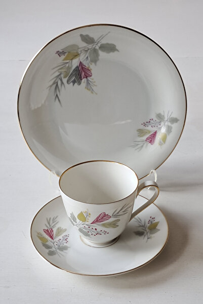 Bavaria Tirschenreuth, Dec. Hackefors Vintage Coffee Cup Set 3 Pieces 100 ml