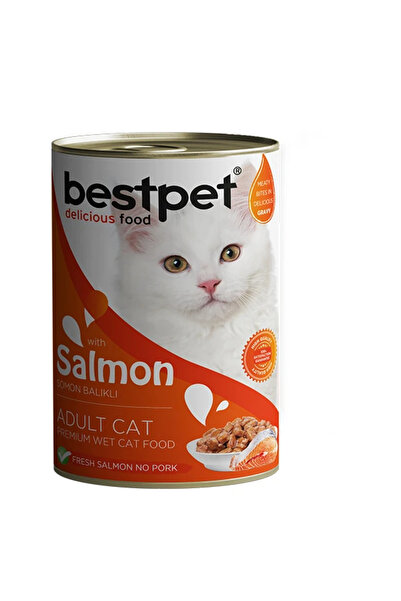 Bestpet Yetişkin Kediler Için, Taze Somon Parça Etli Ve Soslu Yaş Mama 400 gr