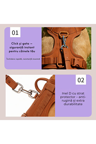 AMNIX AMNIX® Adjustable Harness Set for Dogs – Comfort, Safety and Control