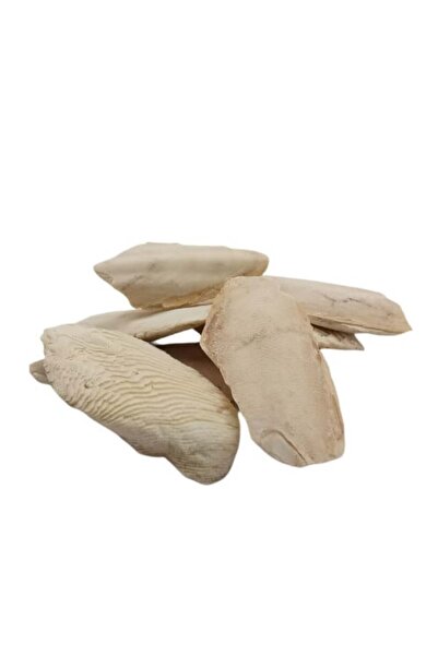 Nature Spirit روح الطبيعة -لسان البحر