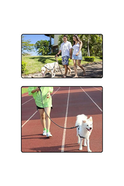 BSRE Pet Reflective Walking Collar - 10 mm X 120 cm