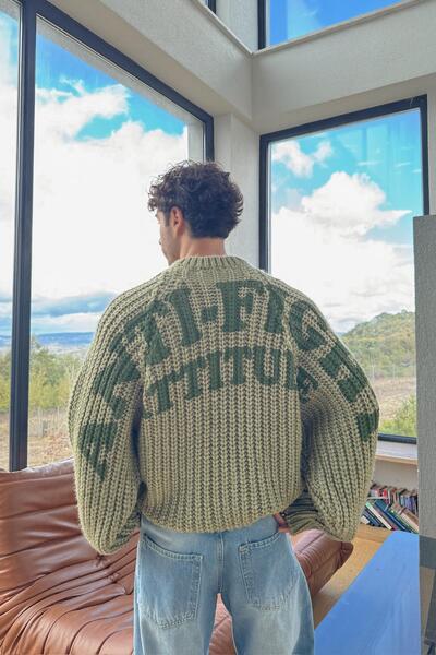 Flaw Wear Back Printed Knitted Sweater