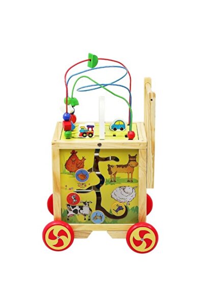 KRUZZEL Wooden Push Walker & Multifunctional Educational Cube, Multicolor, 12+ months