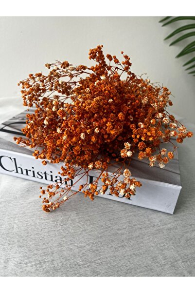 Ziva DEKOR TURUNCU ŞOKLANMIŞ CİPSO